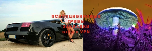 шишки Алексин
