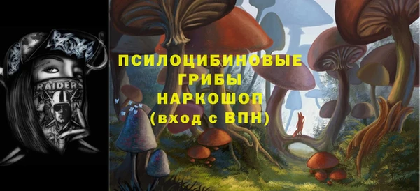 шишки Алексин